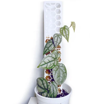 3 шт. Пластиковый Столб из Мха Рама для комнатных растений Подставка для растений в горшках Садовые Аксессуары