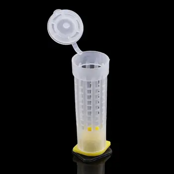 Пластиковый инструмент для защиты от укусов, коробка для ячеек, оборудование, защитный чехол, клетка для пчелиной матки, чашка для выращивания пчел